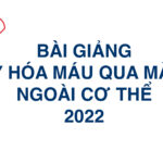 Bai giang oxy hoa mau qua mang ngoai co the