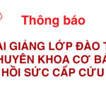 Thong-bao-chuong-trinh-dao-tao-chuyen-khoa-co-ban